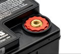 Lionville Systems 800 Cart UPS Battery (Requires 2/unit)